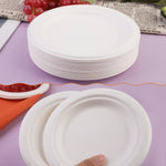 6 Inch Disposable Sugarcane Paper Plates Alternative Compostable Paper Plates [125-Pack]