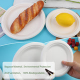 7Inch/9Inch Disposable Sugarcane Paper Plates Alternative Compostable Paper Plates