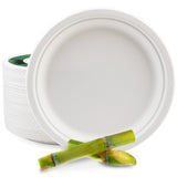 [130-Pack] 10 Inch Disposable Sugarcane Paper Plates Alternative Compostable Paper Plates