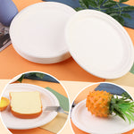 [130-Pack] 10 Inch Disposable Sugarcane Paper Plates Alternative Compostable Paper Plates