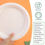 [130-Pack] 10 Inch Disposable Sugarcane Paper Plates Alternative Compostable Paper Plates