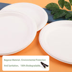 9 Inch Disposable Sugarcane Paper Plates Alternative Compostable Paper Plates 130 packs